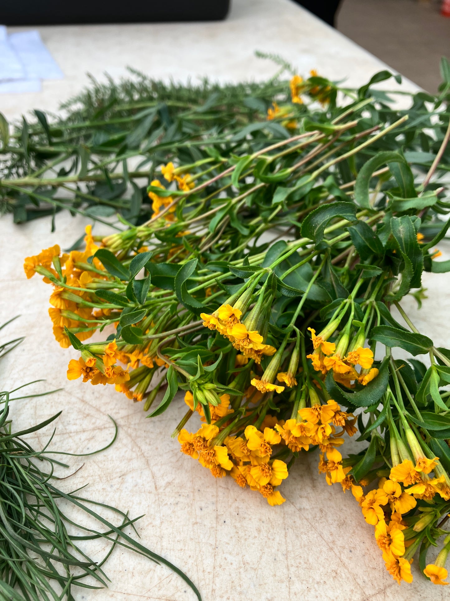 July Dye Workshop: Garden Petal Prints
